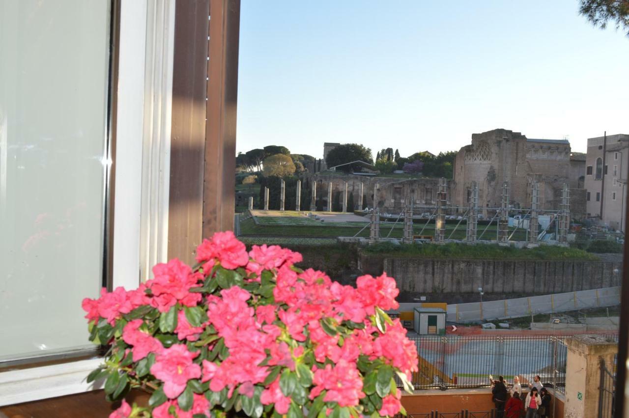 Lejlighed Balcony Colosseum View